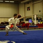 Open Flanders Wushu Cup 2013 - Sterre met Chang Quan