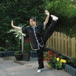 Shifu Zheng - Tai Chi